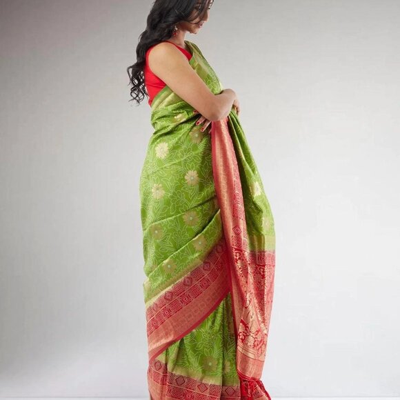 Elegant Green and Red Pochampalli Fancy Saree | Muvvas Boutique - Picture 3 of 4